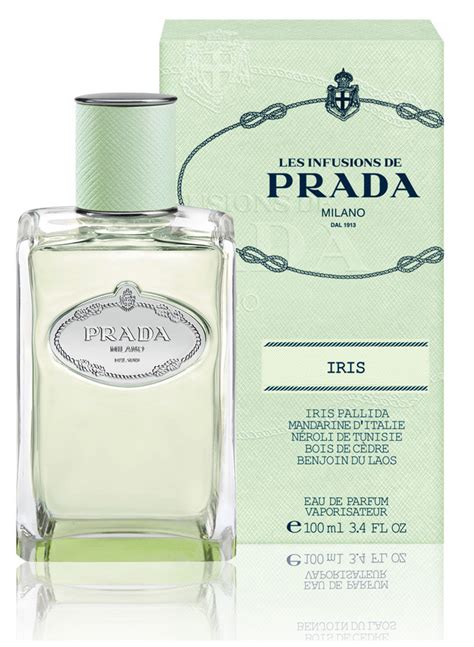 eau de parfum prada infusion d iris|iris prada fragrantica.